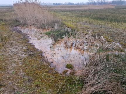 Besluitvorming In oktober 2010 zijn de eerste ideeën voor de Schoonwatervallei opgeschreven in het projectplan Duinrand Bakkum met maatregelen ter hoogte van het Zeerijdtsdijkje.