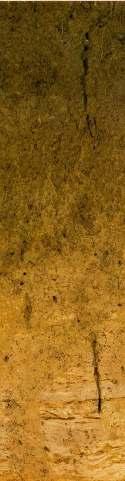 Voorbeeld 8. Stikstof en koolstof in evenwicht: synthese; Boomgaard bij Tiel grond (hier mest en klavers) en laat de natuur het werk doen (hier onder meer de regenwormen).