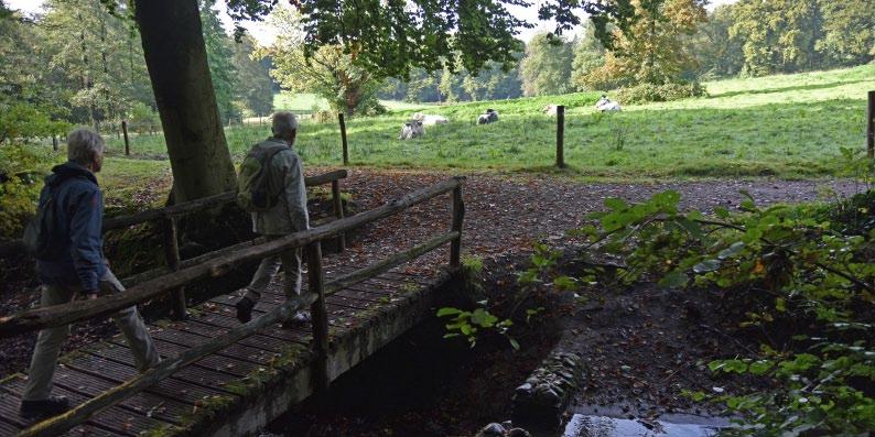 4.13 Op de HELLING: Landgoed laag Oorsprong, Oosterbeek Water Laag Oorsprong wordt gekenmerkt door een stelsel van sprengbeken en vijvers.