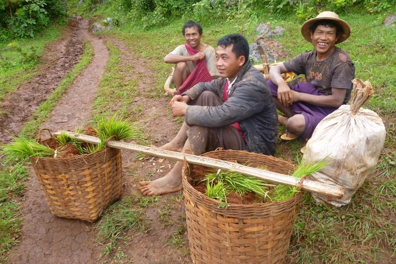 Het is ook goed mogelijk in de omgeving te gaan wandelen. Dag 9: Pyin Oo Lwin ± Hsipaw In de ochtend neem je de trein naar Hsipaw in de noordelijke Shan staat.