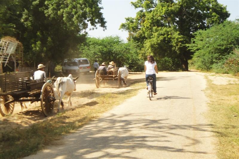 Dag 13: Bagan Vrije dag. Het is een aanrader om een fiets, e-bike (electrische scooter) of een paard en wagen te huren. Heerlijk in je eigen tempo, genietend van al het moois in het landschap.