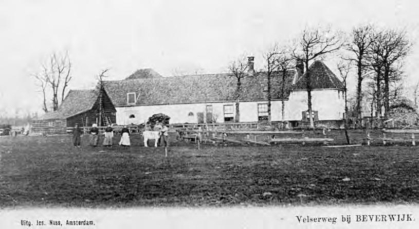 Hij verkocht toen in een openbare veiling de runderbeesten, een paard en enig meubilair. Mogelijk moest hij de boerderij verlaten omdat de hofstede Schulpen werd verkocht.