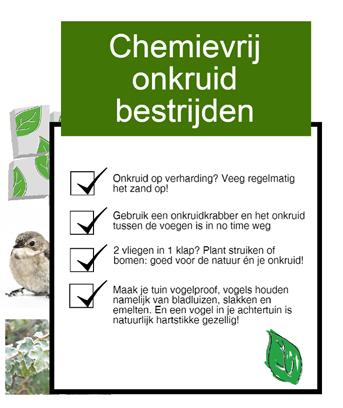 Nieuwe aanpak luisbestrijding De gemeente Waalwijk pakt de overlast van luizen, voornamelijk in linden, op een nieuwe manier aan.