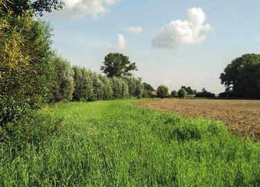 9 beheerovereenkomsten 2015 De bedrijfsplanners van de Vlaamse Landmaatschappij (VLM) hebben een vernieuwd aanbod aan maatregelen klaar voor landen tuinbouwers die graag hun steentje willen bijdragen