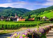 FRANKRIJK ELZAS LOIRE LOURDES CANAL DU MIDI De glooiende heuvels van de Elzas, bezaaid met wijngaarden en bossen, nodigen uit voor een ontdekking van één van de gezelligste streken van Frankrijk.