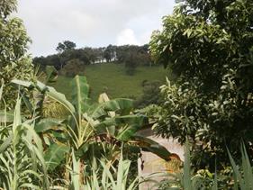 Bananenbomen bij de finca links, de omgeving van La Libertad rechts Een goudzoeker aan het werk bij een goudmolen Onderwijscommissie (die de millenniumprojecten