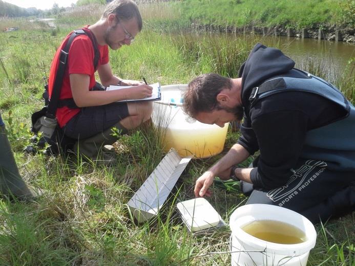 De gevangen vissen werden telkens gesorteerd, gemeten (tot 0.1cm nauwkeurig) en gewogen (tot 0.