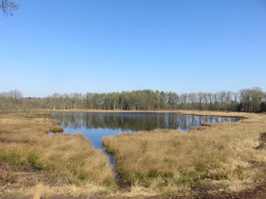 Stappenplan Taarlosche veen -Gesaneerd vanwege vervuiling, veenvulling verwijderd