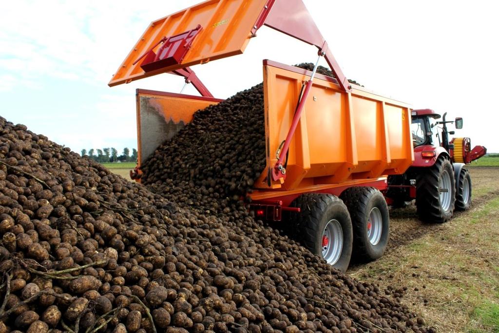 laten uitvoeren. In een rassenkeuzetoets worden knollen van verschillende aardappelrassen gekweekt in potjes met grond, waaraan aaltjes van het besmette perceel zijn toegevoegd.