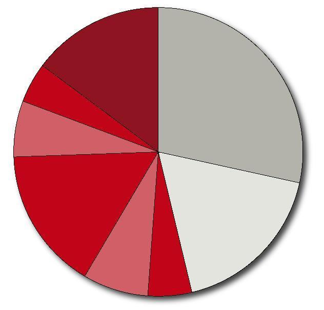 En wat bepaalt de aantrekkingskracht van Nederlandse steden?