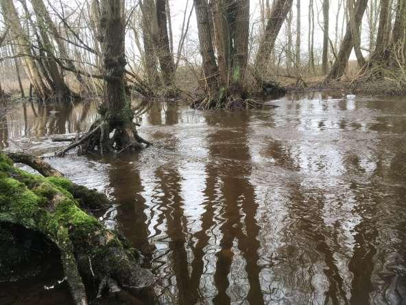 Figuur 10: Hoogwatersituatie tijdens piekafvoer op 9 maart 2017.