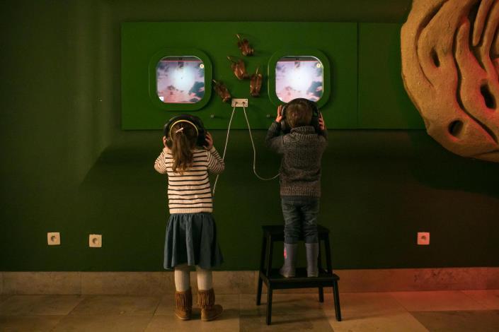 In dit museum aan het Sint-Pietersplein vallen jong en oud van de ene