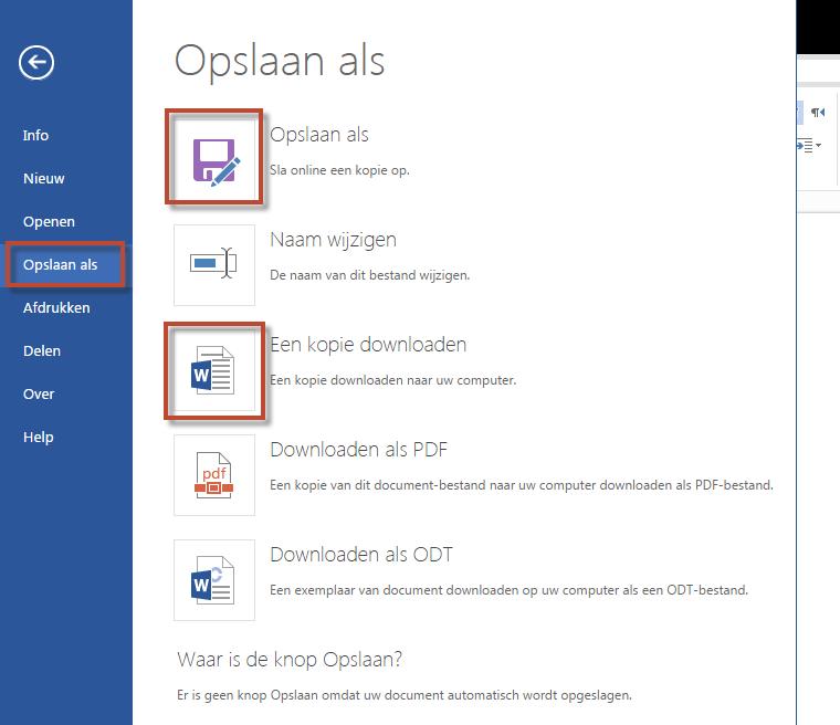 Iedereen die al met Word van Microsoft gewerkt heeft zal vertrouwd zijn met de mogelijkheden in deze online versie.