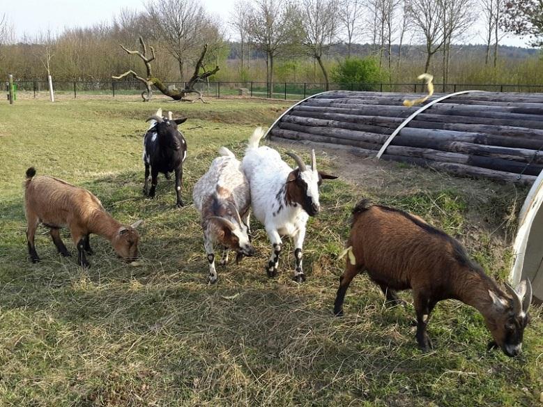 April 2015 Nieuwe bewoners En daar zijn