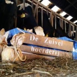 Herkomst producten de Krat De Zuivelboerderij Op 'De Zuivel Boerderij' van Piet Smits in Sliedrecht wordt de melk van Ad Brandwijk uit Molenaarsgraaf verwerkt.