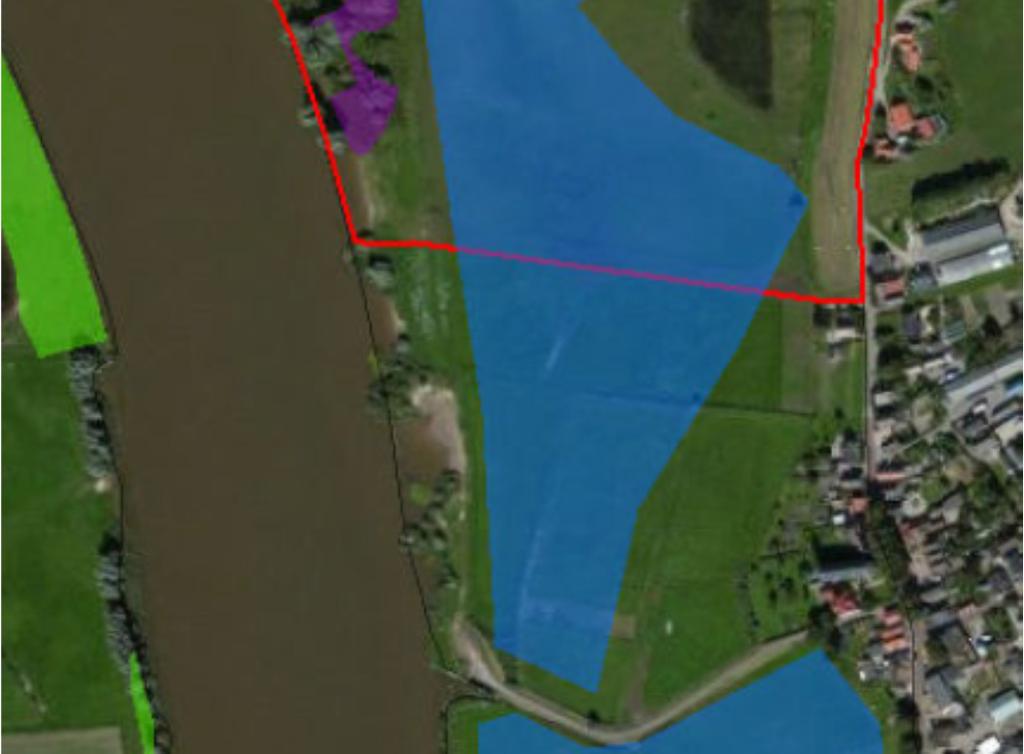 De lager gelegen plasdrasgraslanden in de oostelijke zomerpolder zijn hiervoor geschikt (zie figuur 10). Ten opzichte van het oorspronkelijke plan inunderen de graslanden minder frequent.