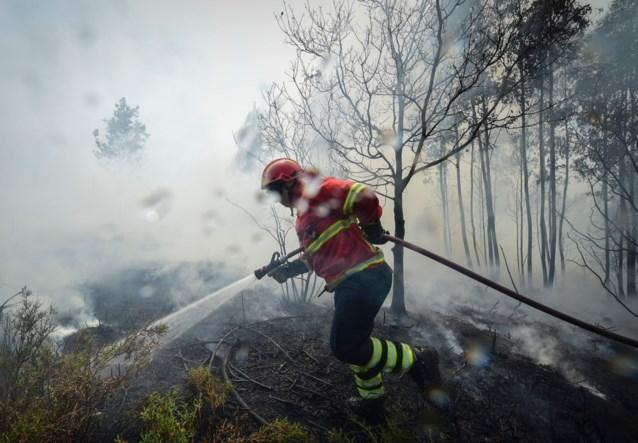 Kritiek na Portugese bosbranden Na een 5tal dagen is de zoveelste bosbrand in Portugal eindelijk onder controle kunnen komen van de lokale brandweer van Pedrogao grancia.