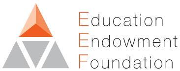 Effect Size (months gain) Overview of value for money 10 Feedback Meta-cognitive 0 0 Homework Learning styles Peer tutoring Phonics Arts Ability grouping Individualised