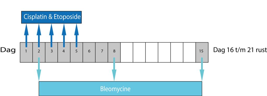 Behandelplan De chemotherapie behandeling die u gaat krijgen heet een BEP-kuur, bestaande uit de combinatie van Bleomycine, Etoposide en cisplatine. Deze chemotherapie wordt per infuus gegeven.