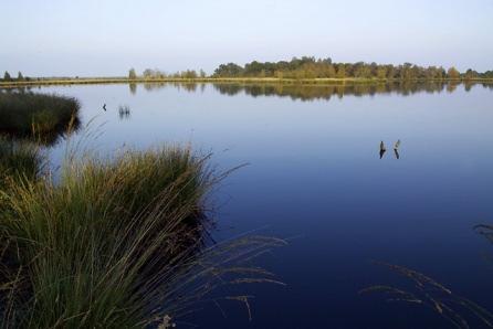 NATUUR EN LANDSCHAP Inleiding In de gemeente liggen verschillende gebieden die binnen de Ecologische Hoofd Structuur (EHS) vallen.