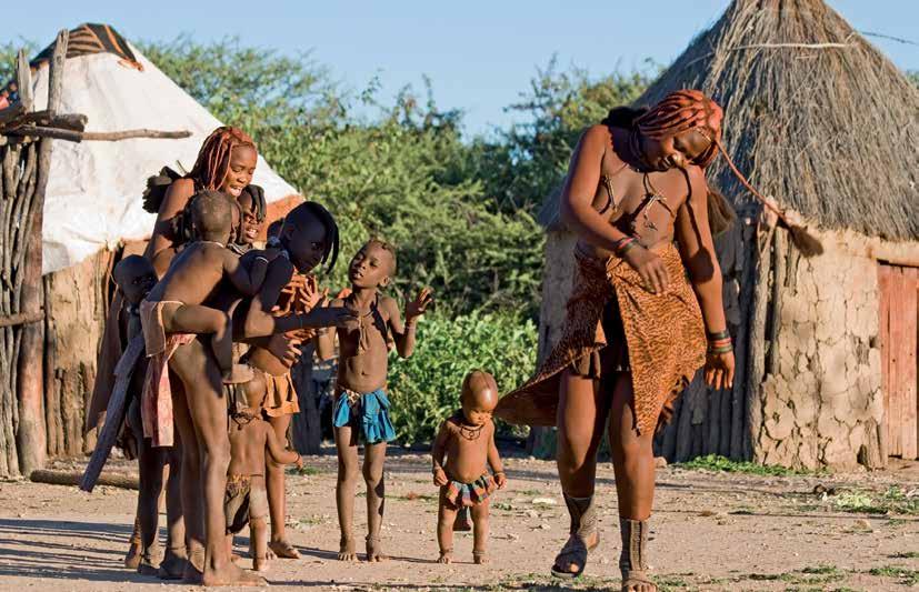 Natuurlijk Namibië brengt. In het Afrikaans: Tweeblaarkanniedood. Wat lijkt op een veelheid van bladeren, zijn slechts 2 bladeren, die maximaal 8 meter lang kunnen worden.