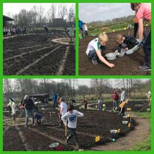 Dat er alweer flink gewerkt wordt op onze schooltuin kunt u lezen in onderstaand verslag: Het is heel leuk op de schooltuintjes.