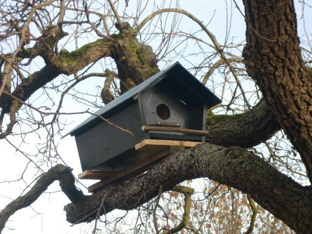 Veel voedsel in de winterperiode betekent dat de adulte uilen in goede conditie het broedseizoen in kunnen gaan. Dit vertaalt zich meteen in de legselgrootte (het aantal eieren).