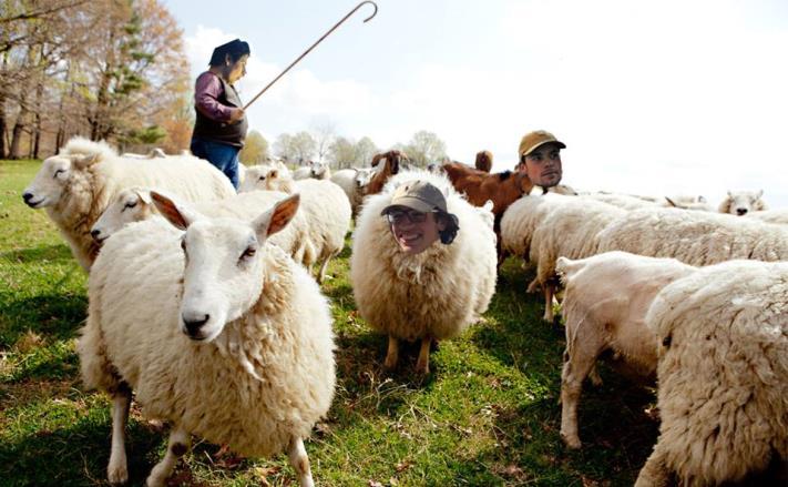 11 Rakwi s Hela boerekes! De tijd voor een ander veld te terroriseren dan dat van ons is er weer. Dit jaar trekken we naar Geel dus dit is niet zomaar een veld, het is een wei.