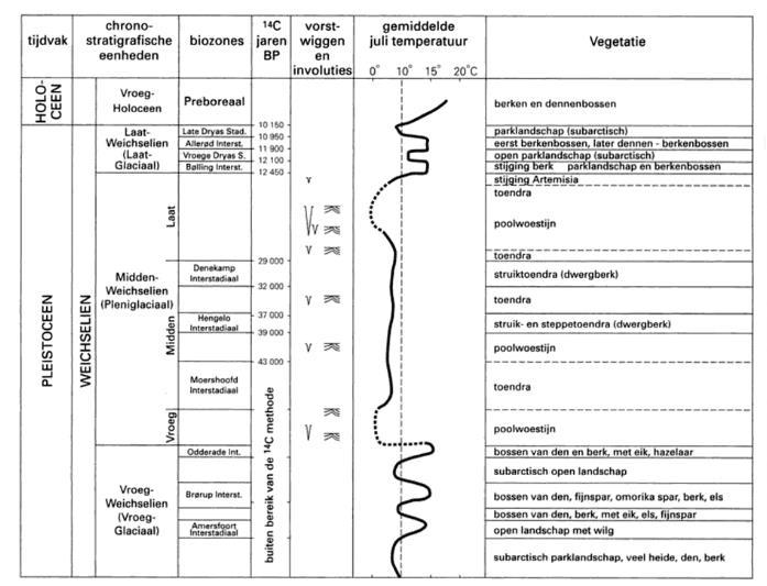 De periglaciale omstandigheden in het Pleistoceen hebben voor specifieke afzettingen binnen het beekdal gezorgd.