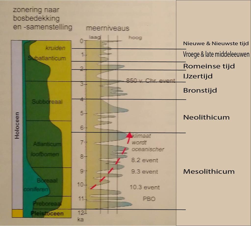 2.3 Holoceen In deze paragraaf staan de klimatologische- en archeologische tijdperioden centraal (figuur 10).