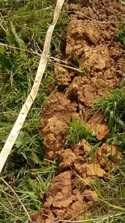 3.1.3 Matig grof zand (geel) Ten zuiden van de huidige loop van de Dommel is onder de bouwvoor en een laag zand met ijzerconcreties op vier boorlocaties (boorpunt 22 t/m 25) een pakket bruingeel