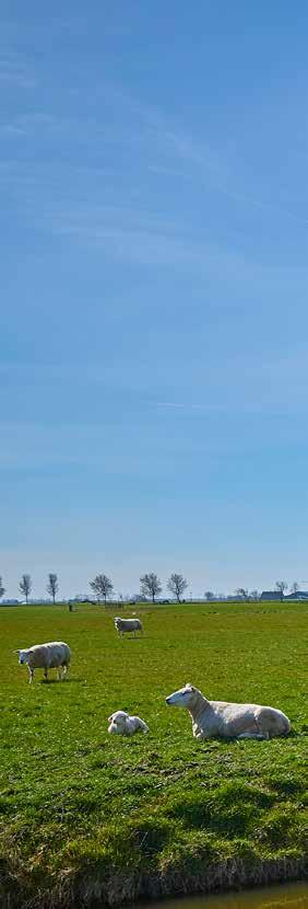 Colofon Titel Jaarverslag Deltaplan Agrarisch Waterbeheer 2016 Concept en redactie / In opdracht van Kernteam DAW Interviews en tekstredactie Projecten LTO