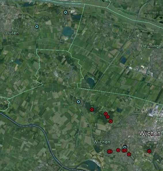 3.6 Laatvlieger 2013 In 2013 zijn met de batdetector uitsluitend laatvliegers waargenomen boven het Wijchens Meer.