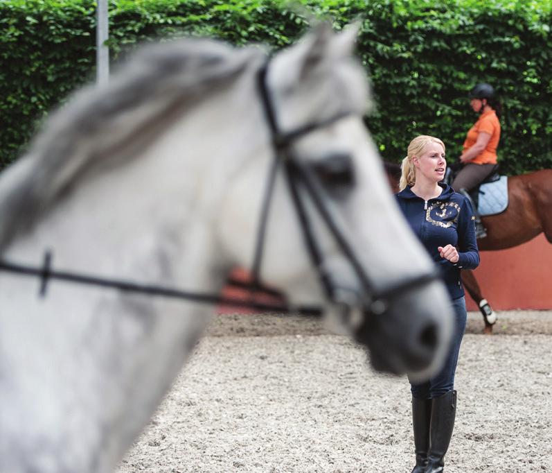 pagina 1 sopleidingen - Manege- Opleiding Manege ORUN 1 Hoe ziet het programma er dan concreet uit? Elke week onder begeleiding van de praktijkbegeleider/ ondernemer: 1.