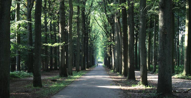 Wandelen in Bulskampveld (Beernem) Move for Dementia. Met deze slogan wil men over heel Europa mensen in beweging zetten. Omdat bewegen goed is voor iedereen en dus ook voor mensen met dementie.