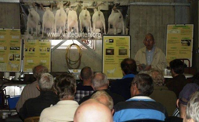 4 Familie den Braber pakt Kampioen en Reserve bij de volwassen Boergeiten Belangrijke punten waar we op moesten letten bij de benen,