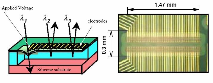 B. WDM equalizer De WDM equalizer wordt gebruikt om na versterking de amplitudes van de verschillende golflengtes bij te regelen om een zo vlak mogelijk spectrum te bekomen.