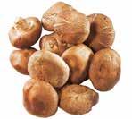 De paddenstoel verschilt erg in kleur van puur wit tot bruin grijs. Hoe meer de Maitake in het directe zonlicht komt, hoe donkerder hij wordt.