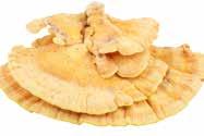 De cantharel jaune heeft een slanke holle knapperige steel en wordt vaak verward met de cantharel grise. Deze paddenstoel past goed bij wildgerechten, in stamppotten of salades.