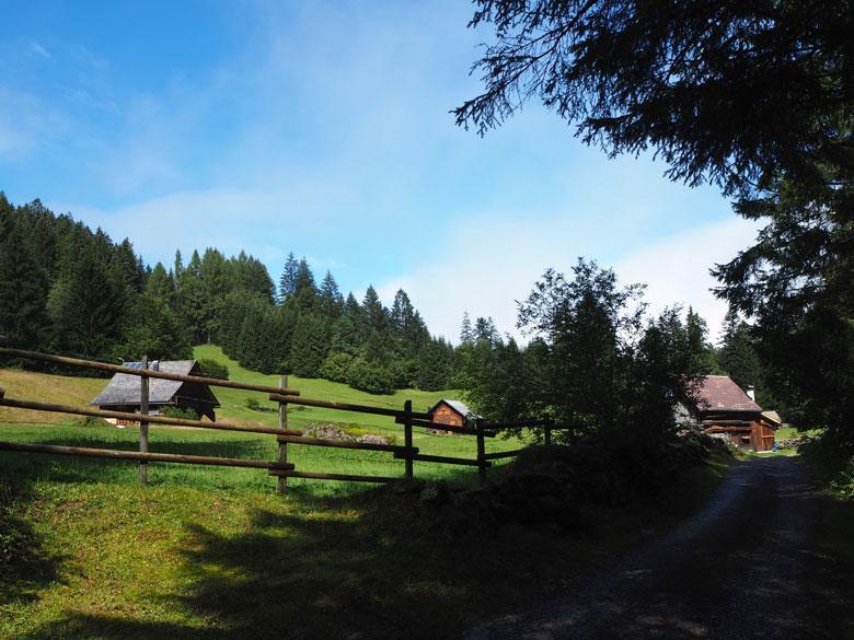 Tussen de Steinkreise door blijven we rechtdoor gaan over het brede pad dat verderop het bos in loopt.