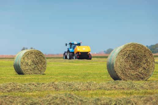 09 Gemakkelijker hakken dankzij CropCutter Het New Holland CropCutter -systeem is voorzien van 20 bladen van chroom-vanadium.