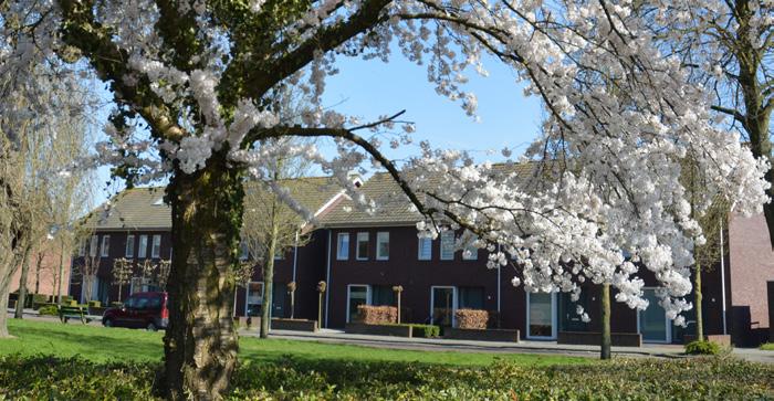 De gemiddelde rapportcijfers zijn voor de beschikbare woningen 7,5 (gemiddelde cijfer hele gemeente 7,5), voor de woonomgeving 7,3 (gemiddelde cijfer hele gemeente 7,2) en voor veiligheid in de stad