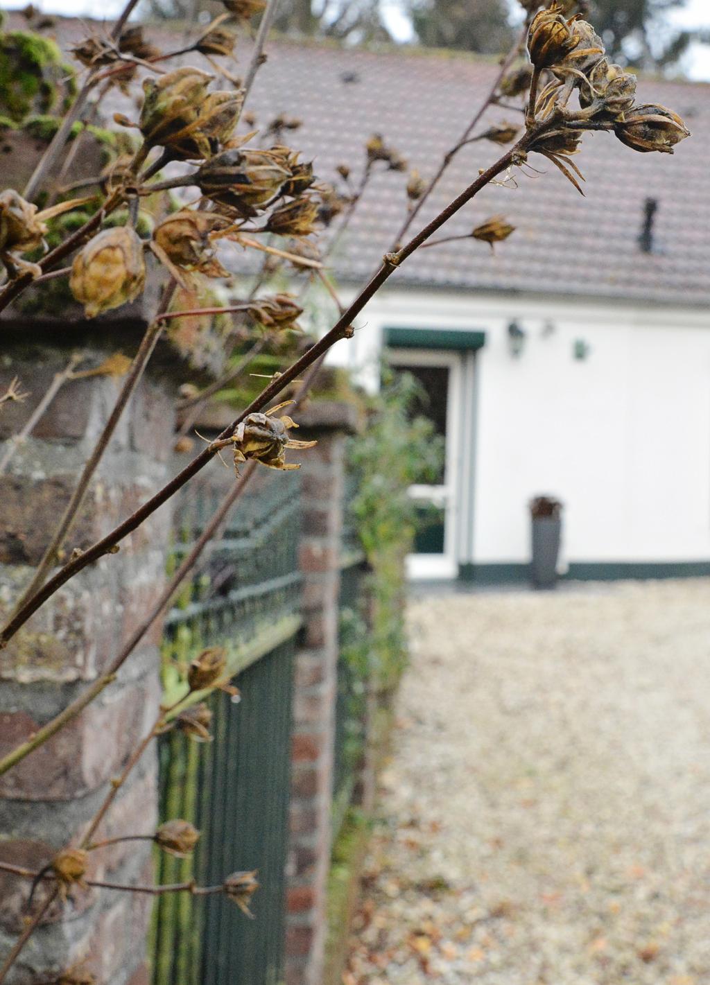 Enigszins verscholen aan de Abelenstraat... ligt deze gerenoveerde boerderijwoning met ruime vrijstaande garage. De tuin ligt, anders dan je zou verwachten, aan de voorzijde.