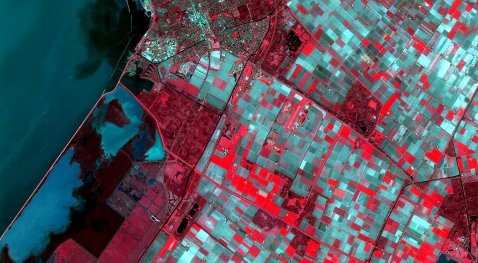 Alterra s remote sensing domains Land monitoring Monitoring agriculture & forests