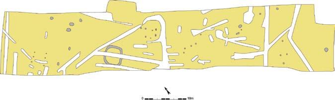 30 Archeologische wegkofferbegeleiding Sint-Denijs-Westrem - Flanders Expo Zone 2 & 3 Figuur 30: Grip uit paal 21300 (schaal 1/3) ongeveer 0,7m en liggen op 4m van elkaar, zijn maximaal 7,5cm diep en