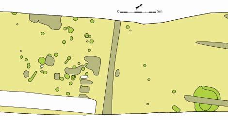 44 Archeologische wegkofferbegeleiding Sint-Denijs-Westrem - Flanders Expo Zone 2 & 3 Figuur 55: Grondplan en paaldoorsnedes van het éénschepig gebouw (schaal 1/100) Ongeveer 40m verder op het