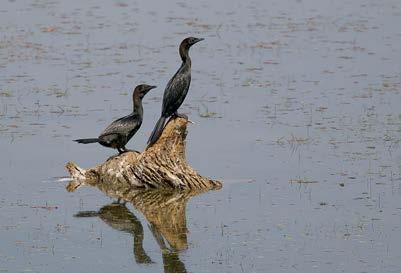 We hebben het gebied tussen het dorp en de rivier