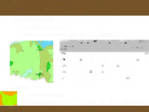 1. Afstem m ing ecotopentypologie Vegetatiekartering W esterschelde Westerschelde