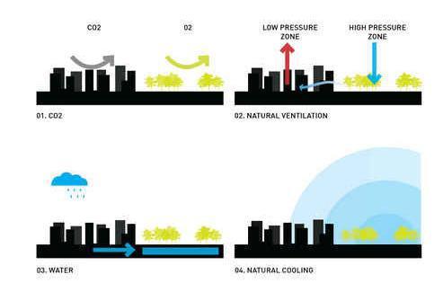 Lobbenstad Amsterdam CO2