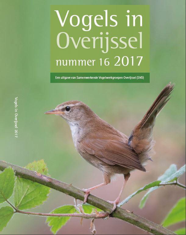 Vogels in Overijssel 16 is uit! Voor de zestiende keer op rij is er een nummer van Vogels in Overijssel uitgebracht door de samenwerkende Vogelwerkgroepen Overijssel (SVO).